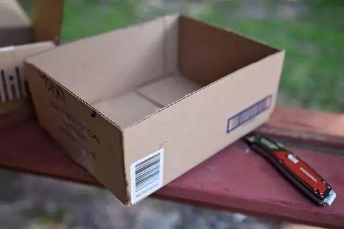 废纸箱最新爆料视频教程,最新爆料视频教程深度解析  第3张